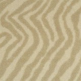 Masland CarpetsZebra